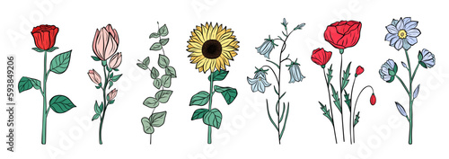 Hand drawn set of colorful blooming flowers. Floral summer collection. Vector sketch elements isolated on white background. Decorative doodle illustration for greeting card, wedding invitation, fabric