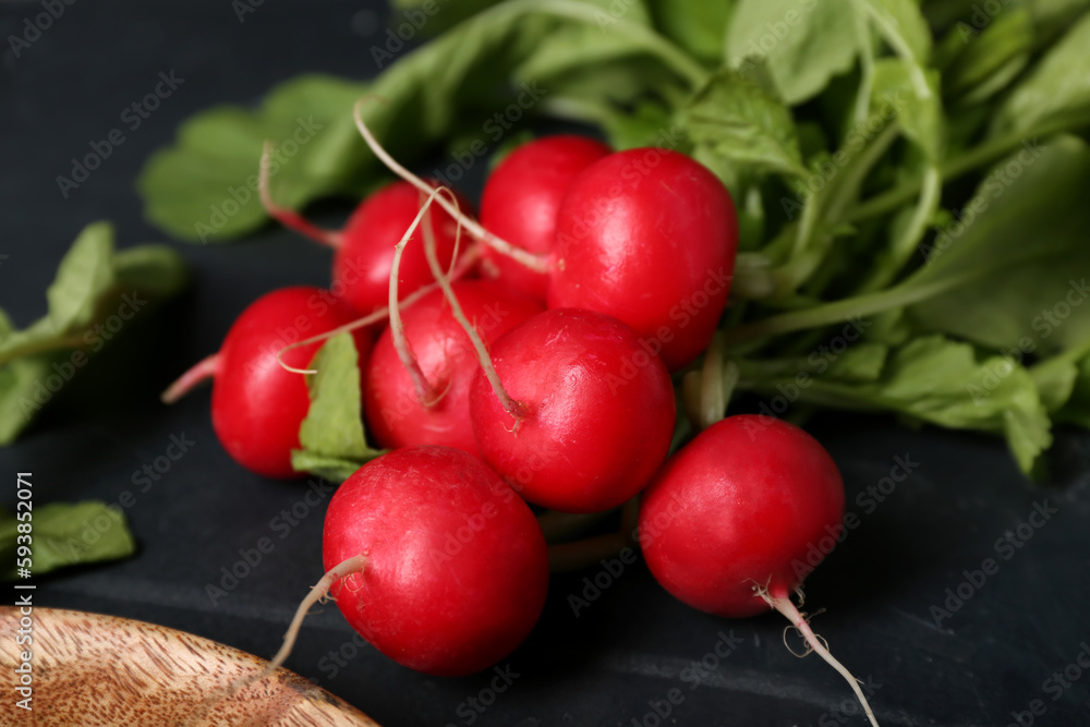 Bunch of ripe radish on dark background, closeup Bunch of ripe radish on dark background, closeup