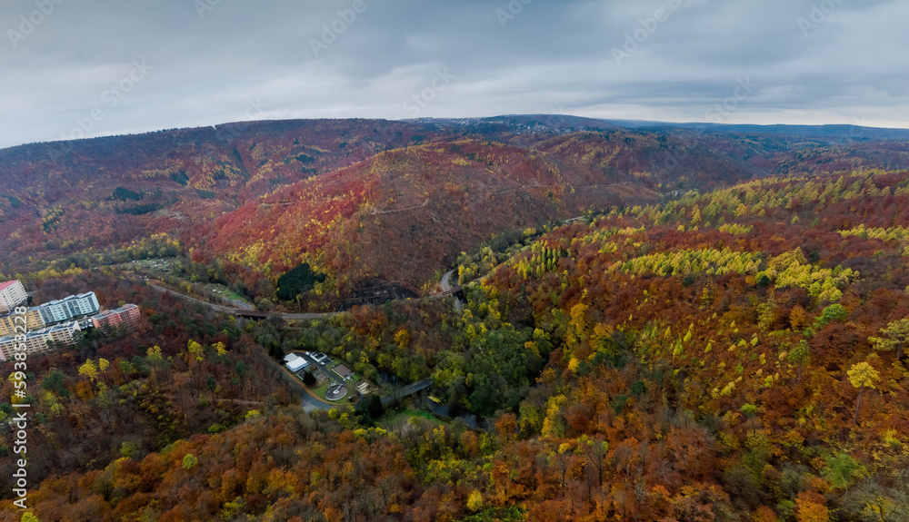 Panoramatic autumn drone view on forest and curvy road