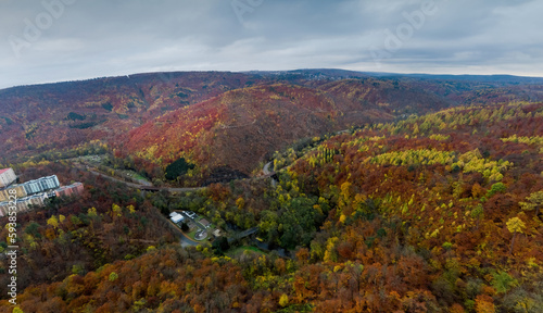 Panoramatic autumn drone view on forest and curvy road