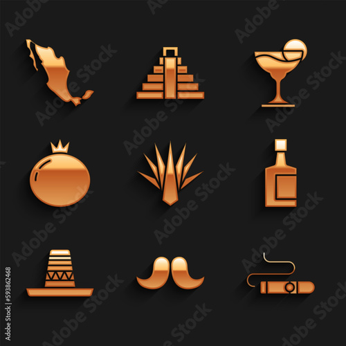 Set Agave, Mustache, Cigar, Tequila bottle, Mexican sombrero, Tomato, Margarita cocktail and Map of mexican icon. Vector