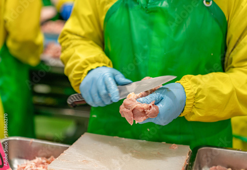 Worker use knife slice bone romove from chicken meat. photo