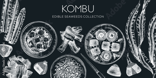 Hand-drawn Kombu banner design. Edible seaweed drawings on chalkboard. Sea vegetable illustrations. Healthy food vector background. Japanese cuisine. Trendy restaurant menu template
