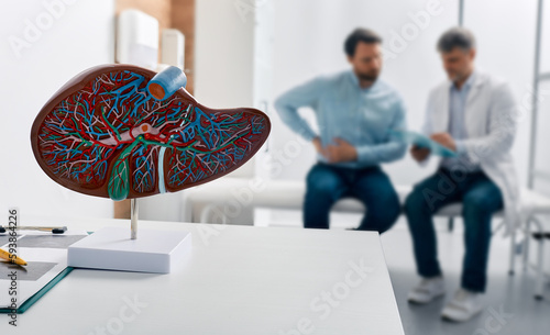 Liver anatomical model on doctor\'s table during hepatologist consultation for patient with side pain in background. Treatment liver diseases in medicine, conceptual image