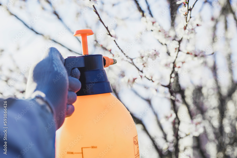 Naklejka premium spraying the garden from pests and diseases with a pulverizer