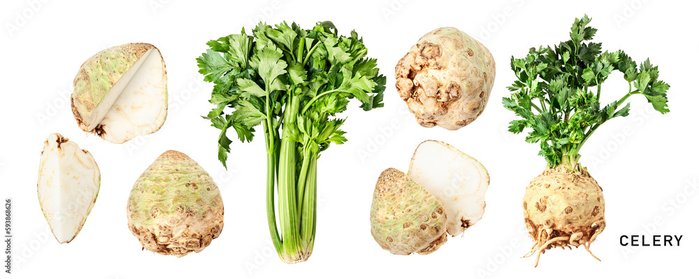 Fotografie Green celery and celery root with leaves