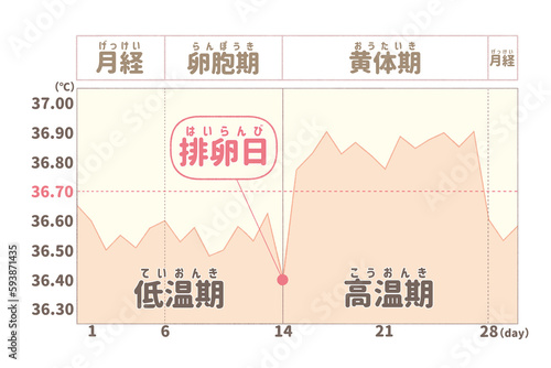 Basal body temperature chart; Japanese language PNG photo