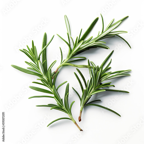 White background image of a sprig of rosemary.