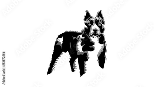 American Pit Bull Terrier silhouette