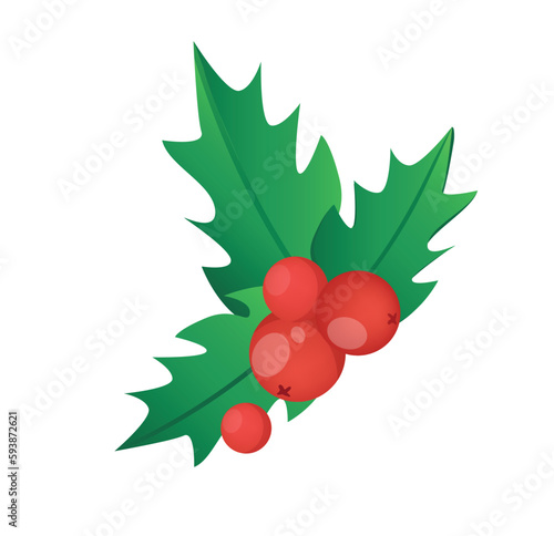 Concept Winter Christmas botany branch with leaf plant. The illustration is a flat vector design depicting a winter branch with red berries on a white background. Vector illustration.