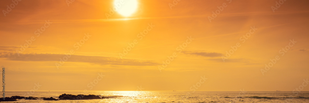 Seascape at sunset. Golden sunset over the sea. Two dogs on the beach. Beautiful beach in the evening