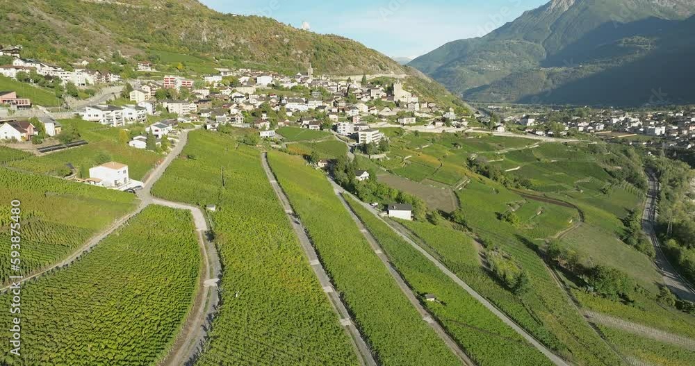 aerial view of terraced vineyards in the swiss Valais canton aerial view of terraced vineyards in the swiss Valais canton