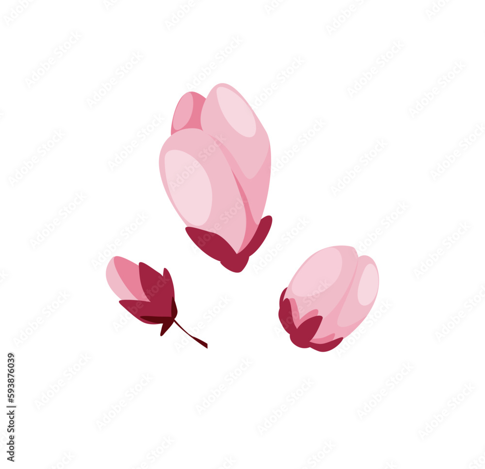 Concept Cherry blossom flowers. The cherry blossom flower is rendered as a vector graphic, with smooth curves and crisp lines that can be scaled without losing quality. Vector illustration.