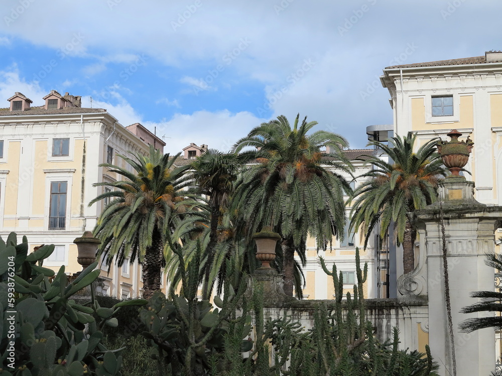 Rome Botanical Garden View with Palms and Buildings, Italy