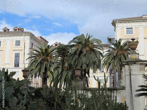 Rome Botanical Garden View with Palms and Buildings, Italy © Monica