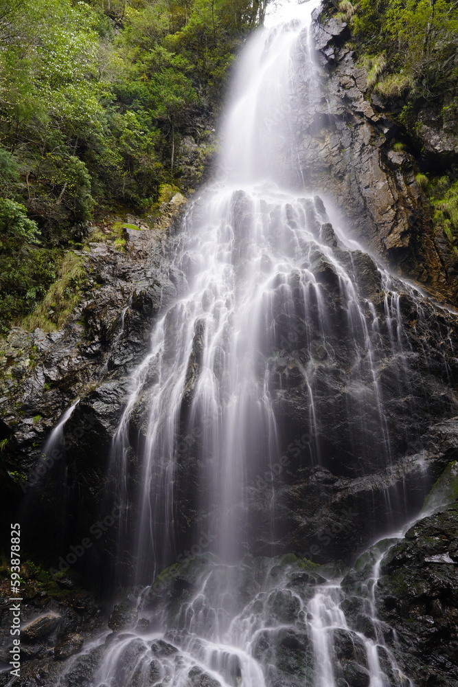 Obraz premium 御船の滝