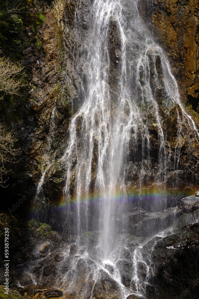 Obraz premium 新緑に映える飛流落としの滝