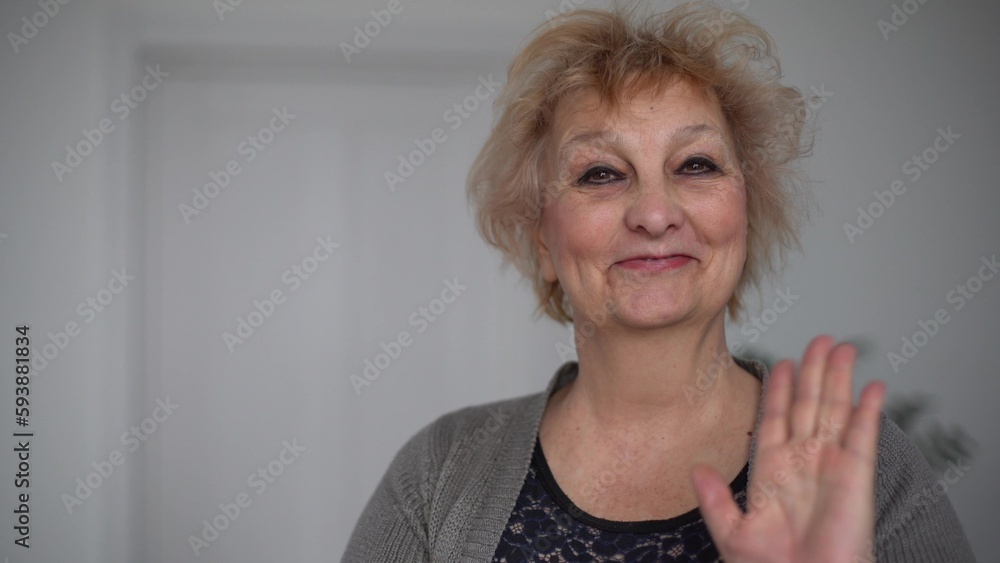 Cheerful older 60s woman looking talking to camera conference calling at  home. Smiling senior mature adult lady grandmother speak to webcam do video  chat communicate online, web cam view Stock Photo