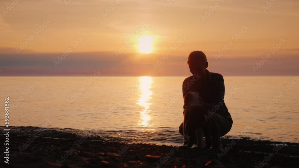 Woman playing with a dog by the lake at sunset Woman playing with a dog by the lake at sunset