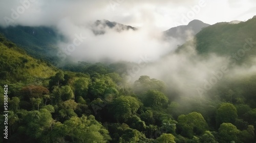 Foggy landscape in the jungle. fog and cloud mountain tropic valley landscape. aerial view. Generative AI. © Pro Hi-Res