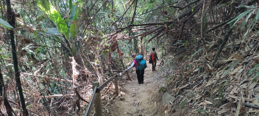 Obraz premium trekking routes in thailand , mountains in thailand , camping sites
