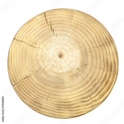 Round cutting board isolated on white background. Wooden tray.