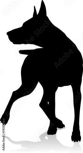 Cuadro en lienzo Dog Silhouette Pet Animal
