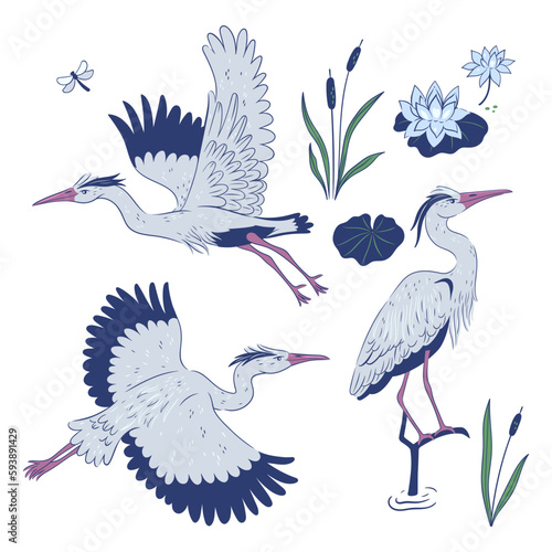 Heron set isolated on white background. Vector graphics.