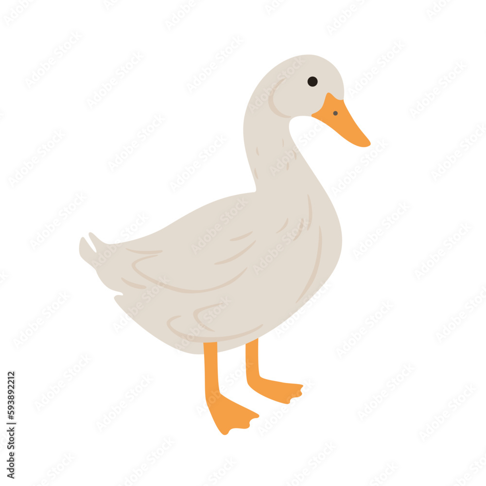 Cute duck illustration - silhouette of bird. Vector illustration. Cute duck illustration - silhouette of bird. Vector illustration.