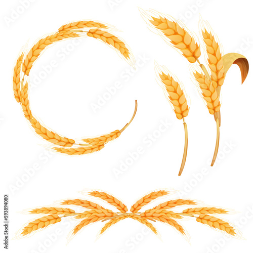 Set Wreath from spikelet, frame, border golden color wheat circle in cartoon style isolated on white background. For bakery, tags or labels