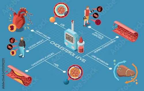 Cholesterol Level Flowchart