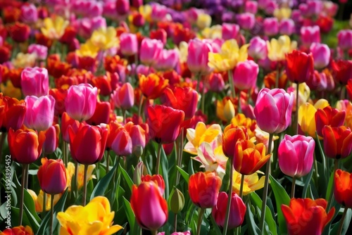 spring leaf blossom green floral space copy space beautiful nature flowers background. Generative AI.