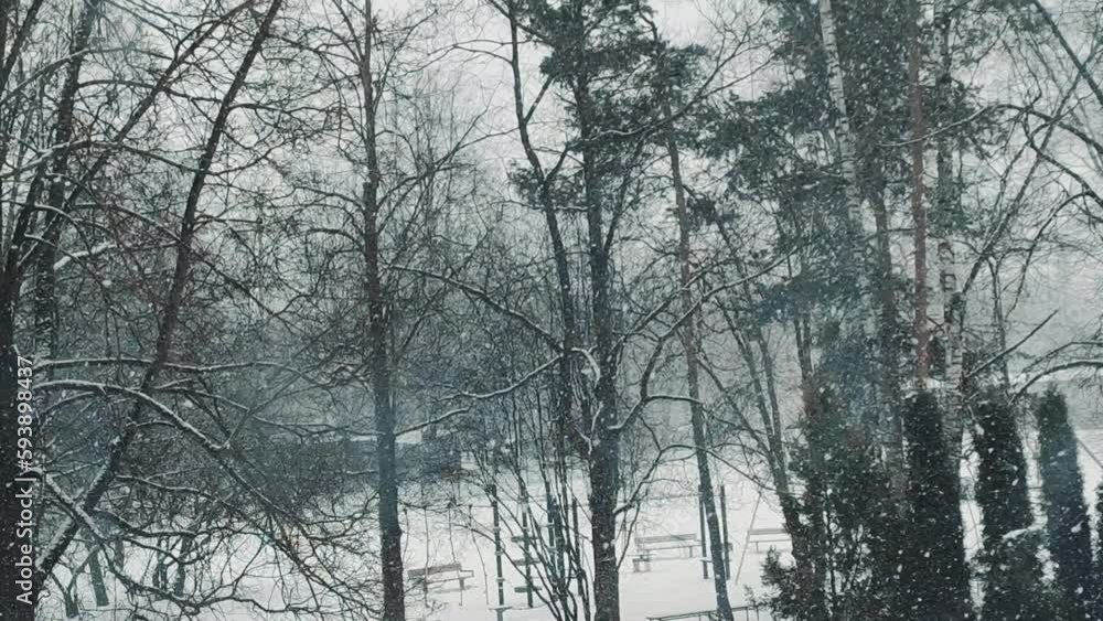 Bare trees in the winter season. Snow-covered urban park. Bare trees in the winter season. Snow-covered urban park.