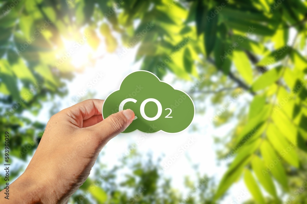 Green CO2 sign in a hand on blurred green leaves background