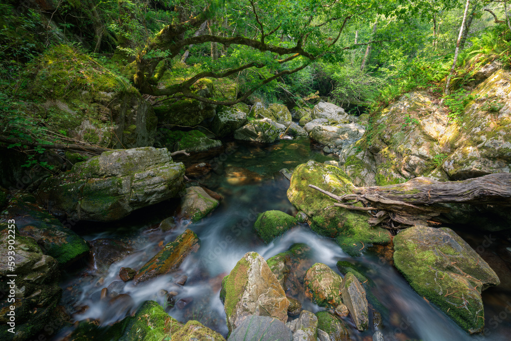 A stream runs through a narrow gorge of granite rocks A stream runs through a narrow gorge of granite rocks