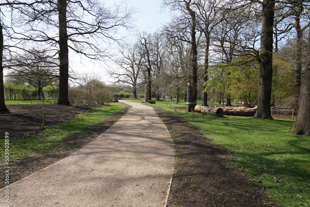 path in the park