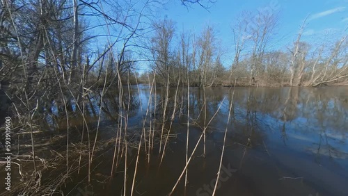 A Flooded River Flows Among Leafless Trees and Shrubs in Spring. Extreme Wide Angle Slomo Panning Shot. photo