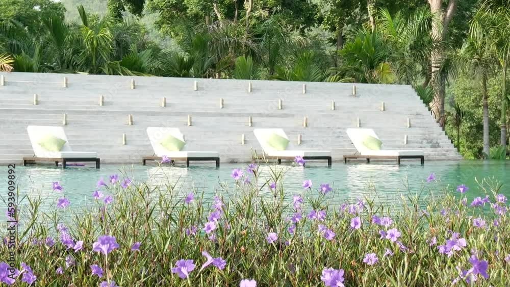 reclining chair near a swimming pool with nature green tree background and beautiful flower at foreground, wavy water in swimming pool with no people. reclining chair near a swimming pool with nature green tree background and beautiful flower at foreground, wavy water in swimming pool with no people.