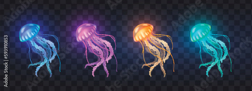 Photographie Jellyfish Realistic Set