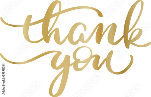Thank you ink brush vector lettering. Thank you modern phrase handwritten vector calligraphy with swooshes.