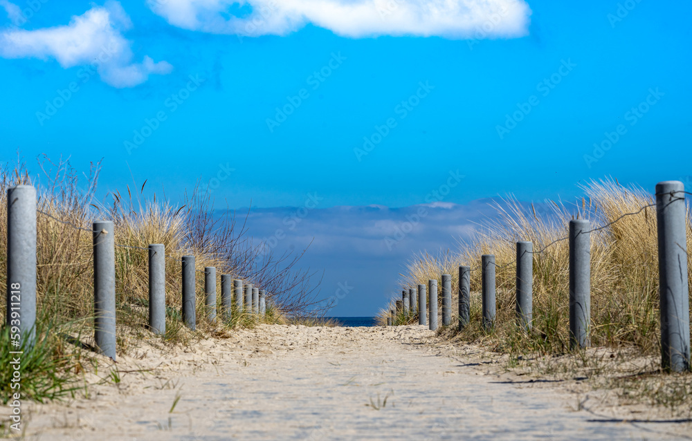 sand dunes and fence on the baltic sea