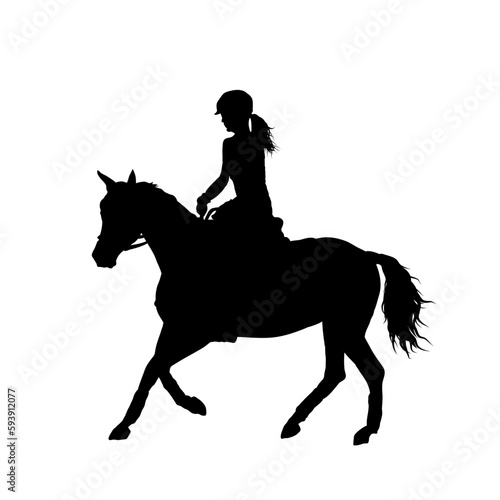 rider on a horse, rider and horse silhouette isolated © KR Studio