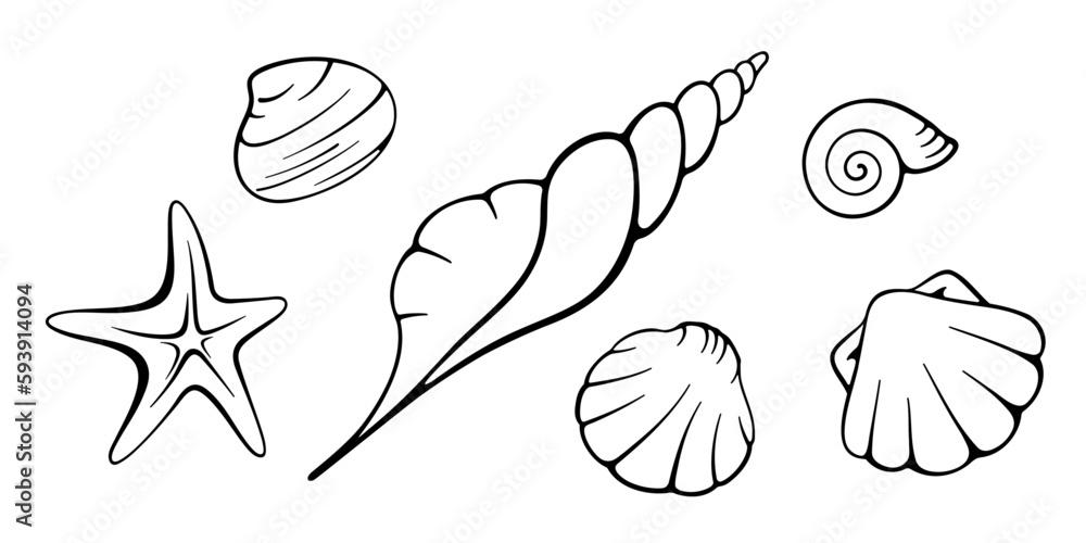 Seashells and starfish collection. Hand drawn doodle black elements on white background. Best for seamless patterns, polygraphy, logo creating and your design. Seashells and starfish collection. Hand drawn doodle black elements on white background. Best for seamless patterns, polygraphy, logo creating and your design.