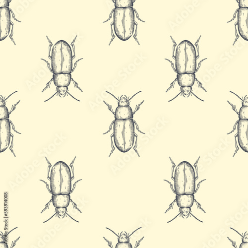 Hand drawn vector pattern with insects . Vector collection. Detailed realistic sketches. Ink, pen, linework.