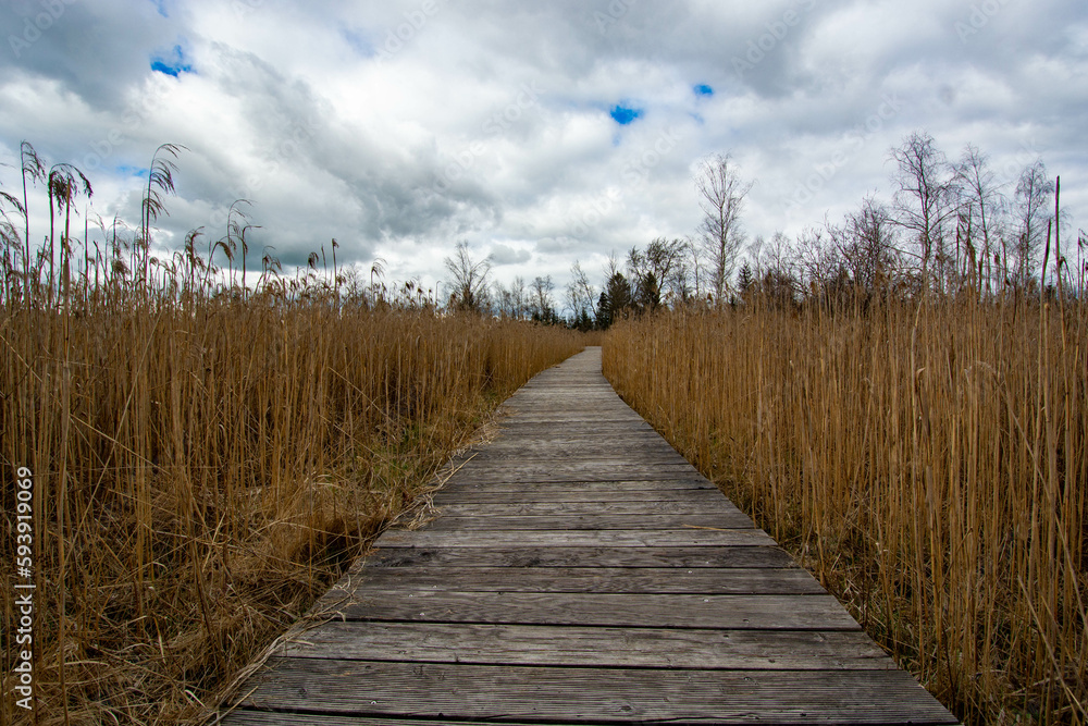 Obraz premium Bad Wurzach, Germany - April 2023: wooden path at Riedsee Lake in Bad Wurzach
