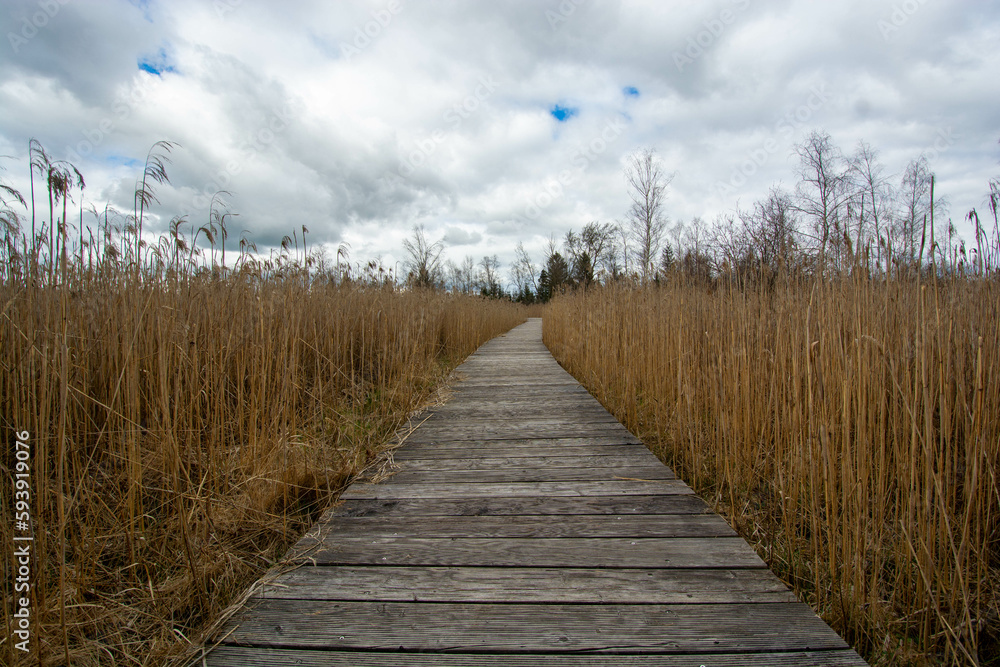 Bad Wurzach, Germany - April 2023: wooden path at Riedsee Lake in Bad Wurzach Bad Wurzach, Germany - April 2023: wooden path at Riedsee Lake in Bad Wurzach