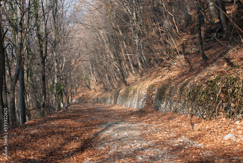 strada di montagna abbandonata dopo una frana