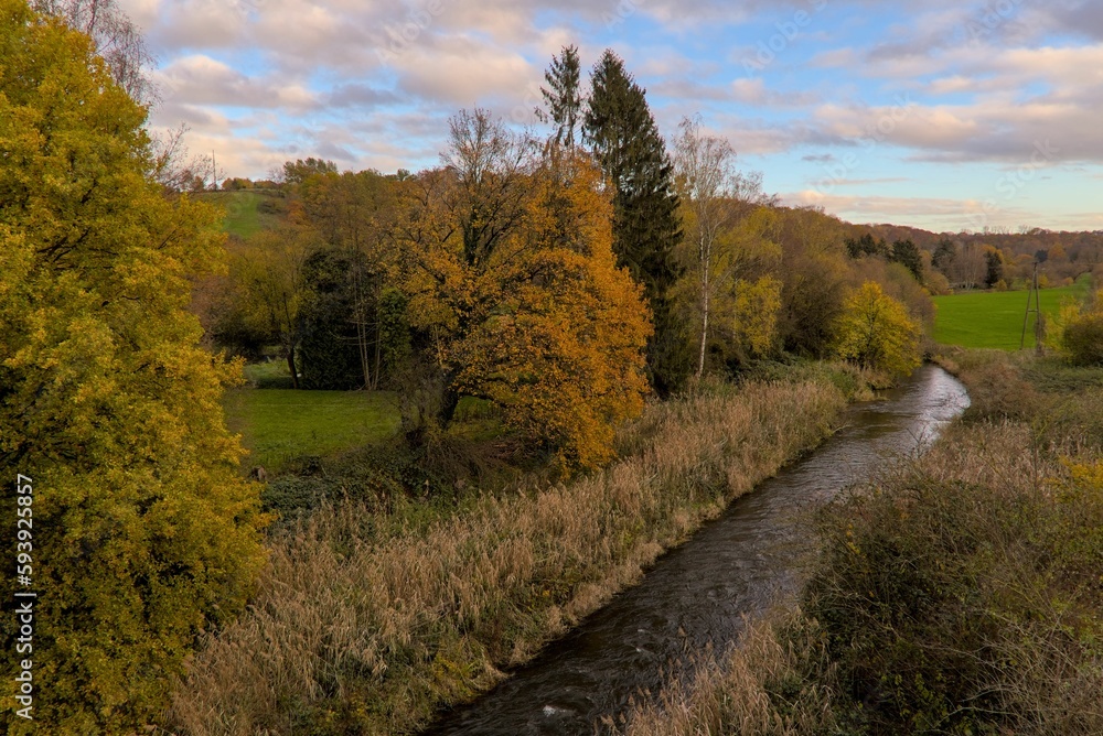 Small creek flowing through idyllic landscape during late autumn