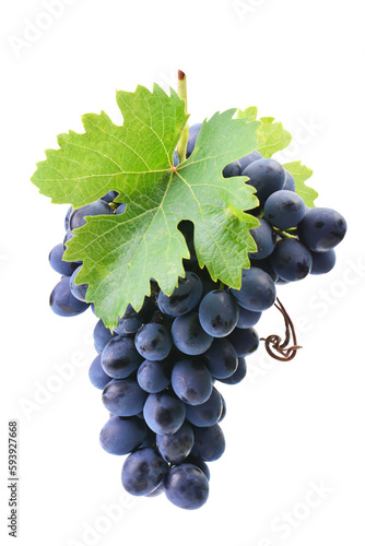 Leinwand Poster Bunch grape isolated