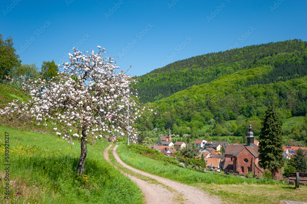 Landschaft im Naturpark Pfälzerwald und Dorfbild von Eußerthal mit der ehemaligen Klosterkirche. Region Pfalz im Bundesland Rheinland-Pfalz in Deutschland Landschaft im Naturpark Pfälzerwald und Dorfbild von Eußerthal mit der ehemaligen Klosterkirche. Region Pfalz im Bundesland Rheinland-Pfalz in Deutschland